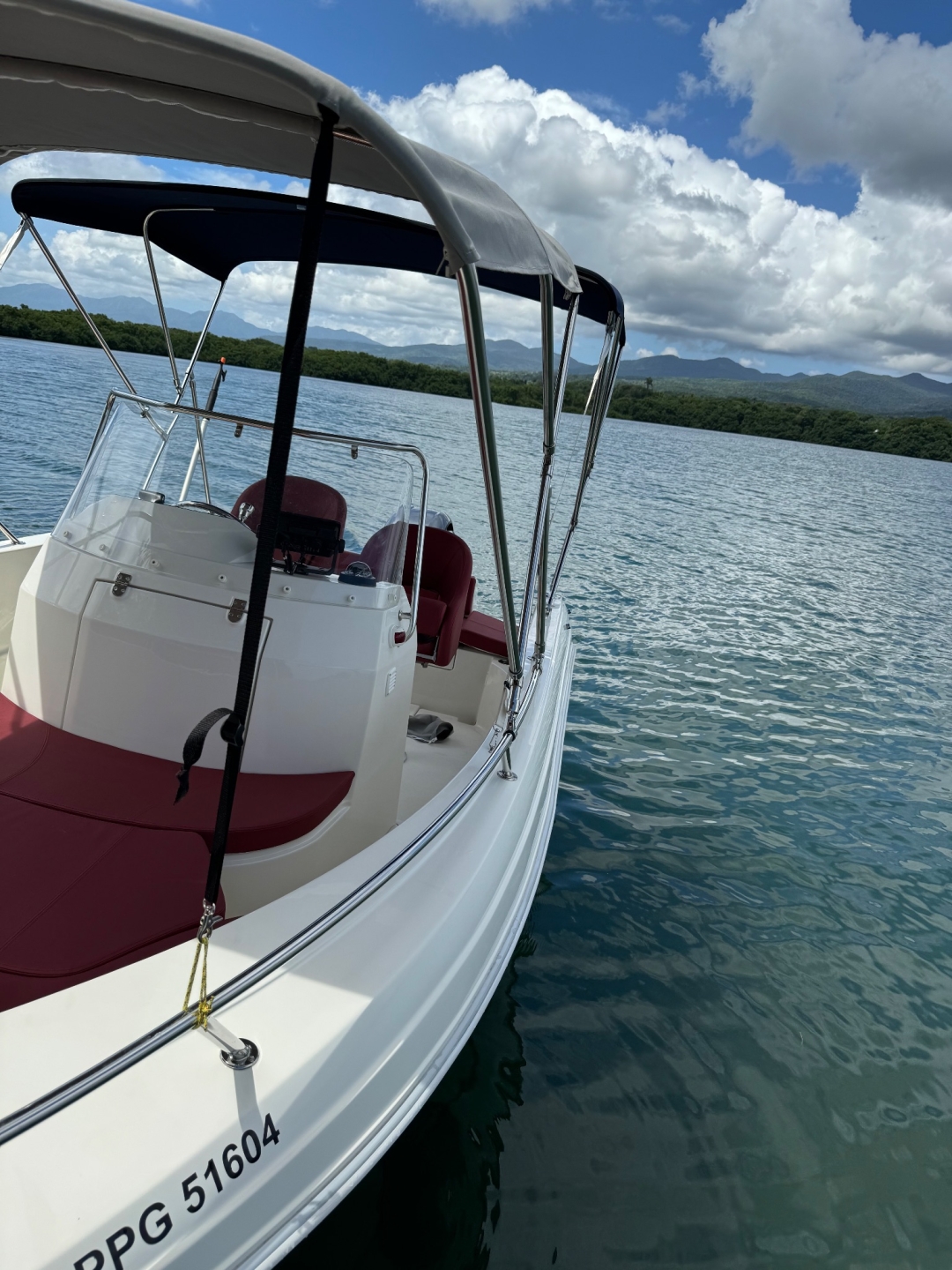 Picture 1 of announcement 546