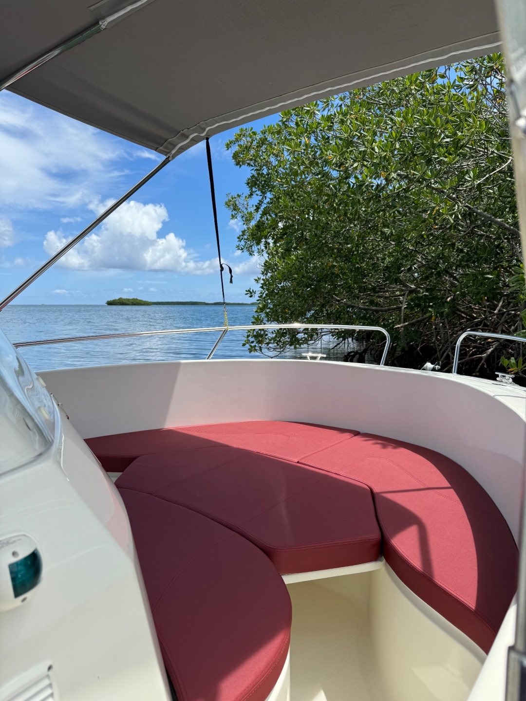 Picture 6 of announcement 551