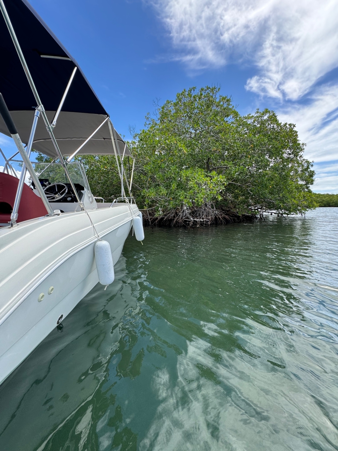 Picture 7 of announcement 552