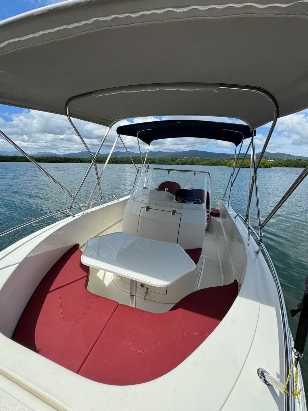 Picture 8 of announcement 553