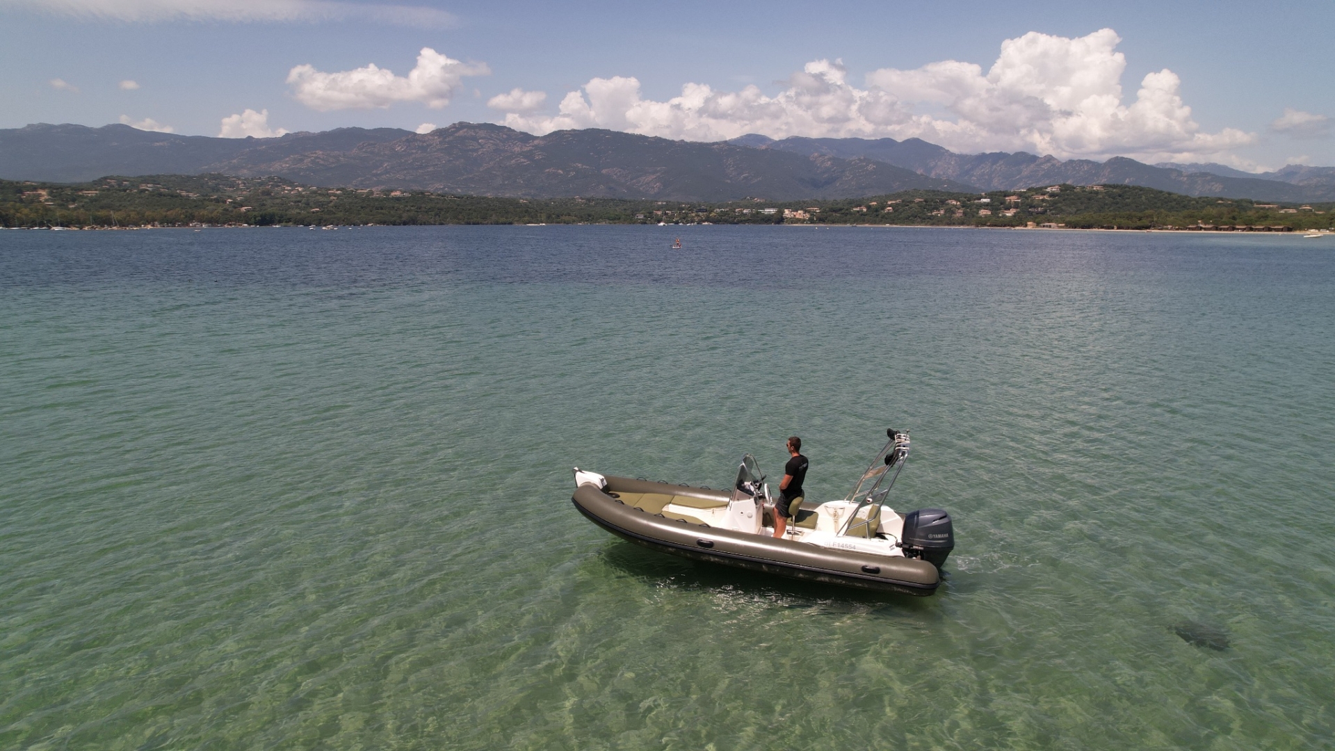 main picture announcement