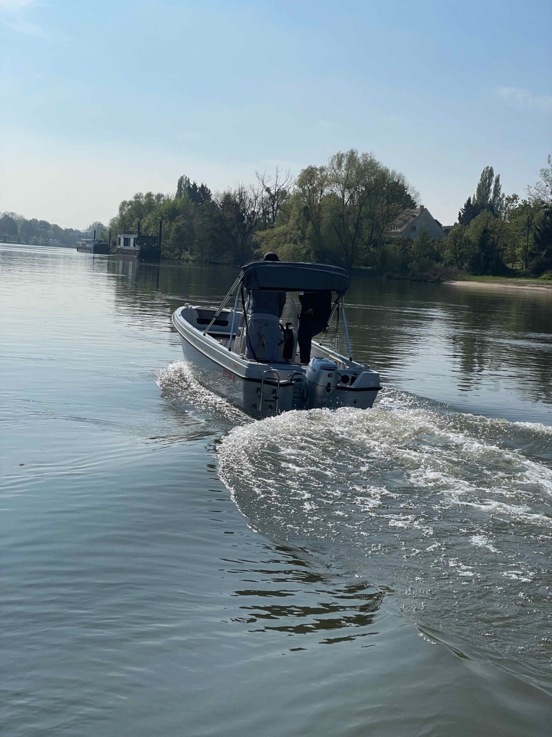 Picture 6 of announcement 1946