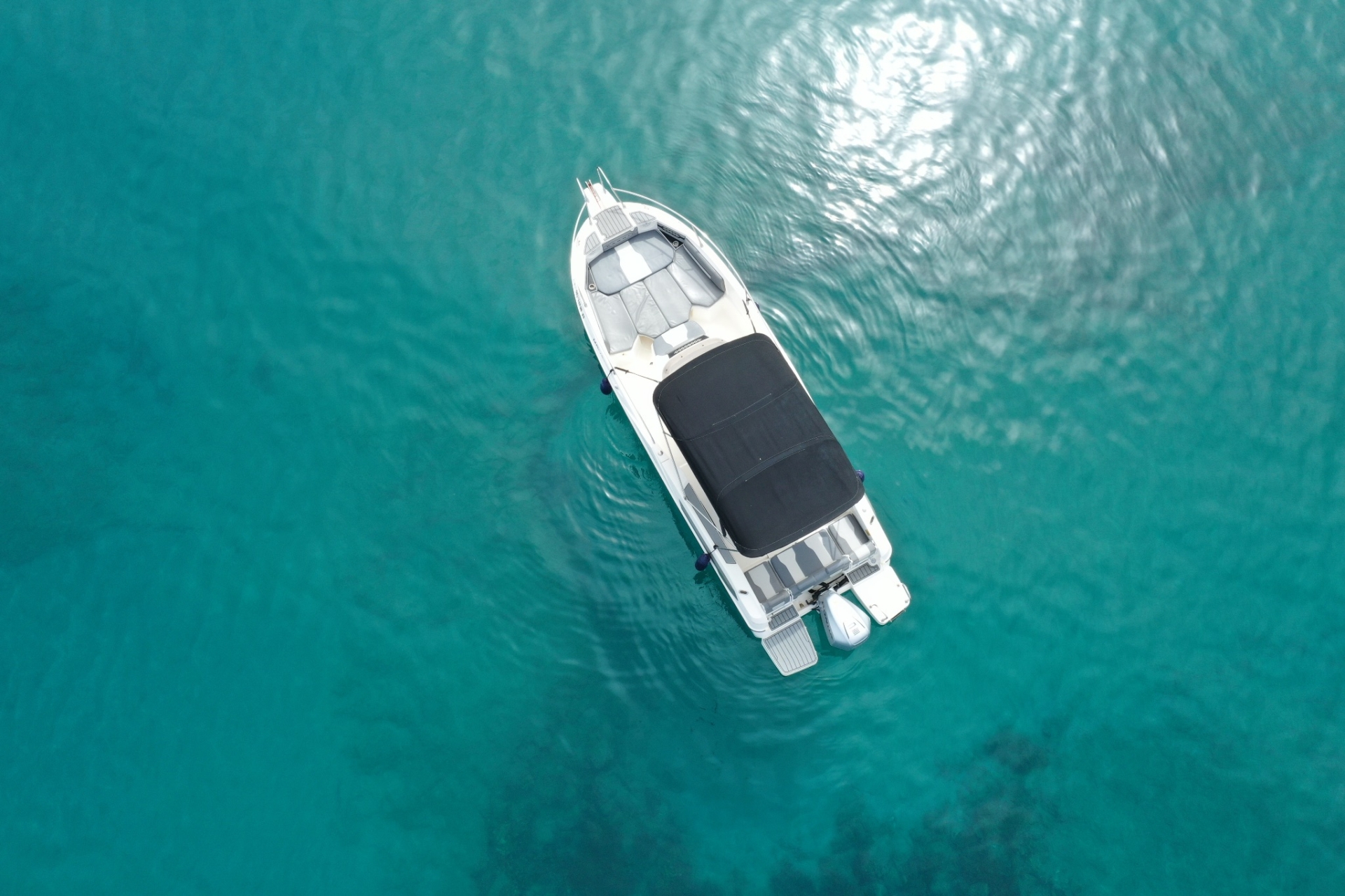 Picture 4 of announcement 2462