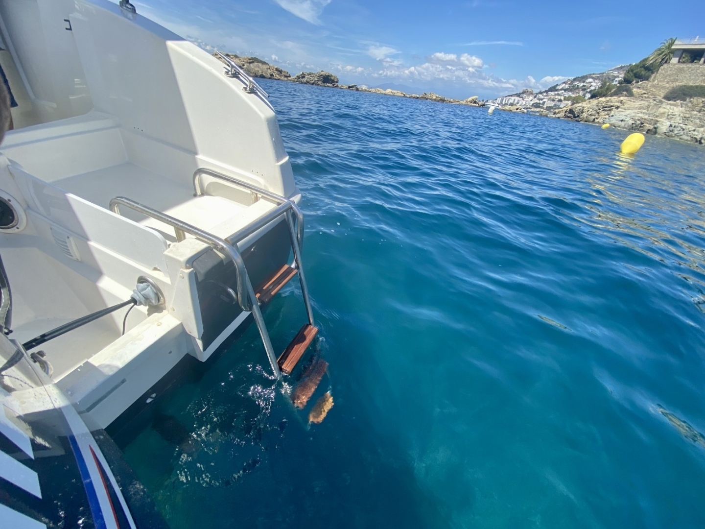 Picture 13 of announcement 3565