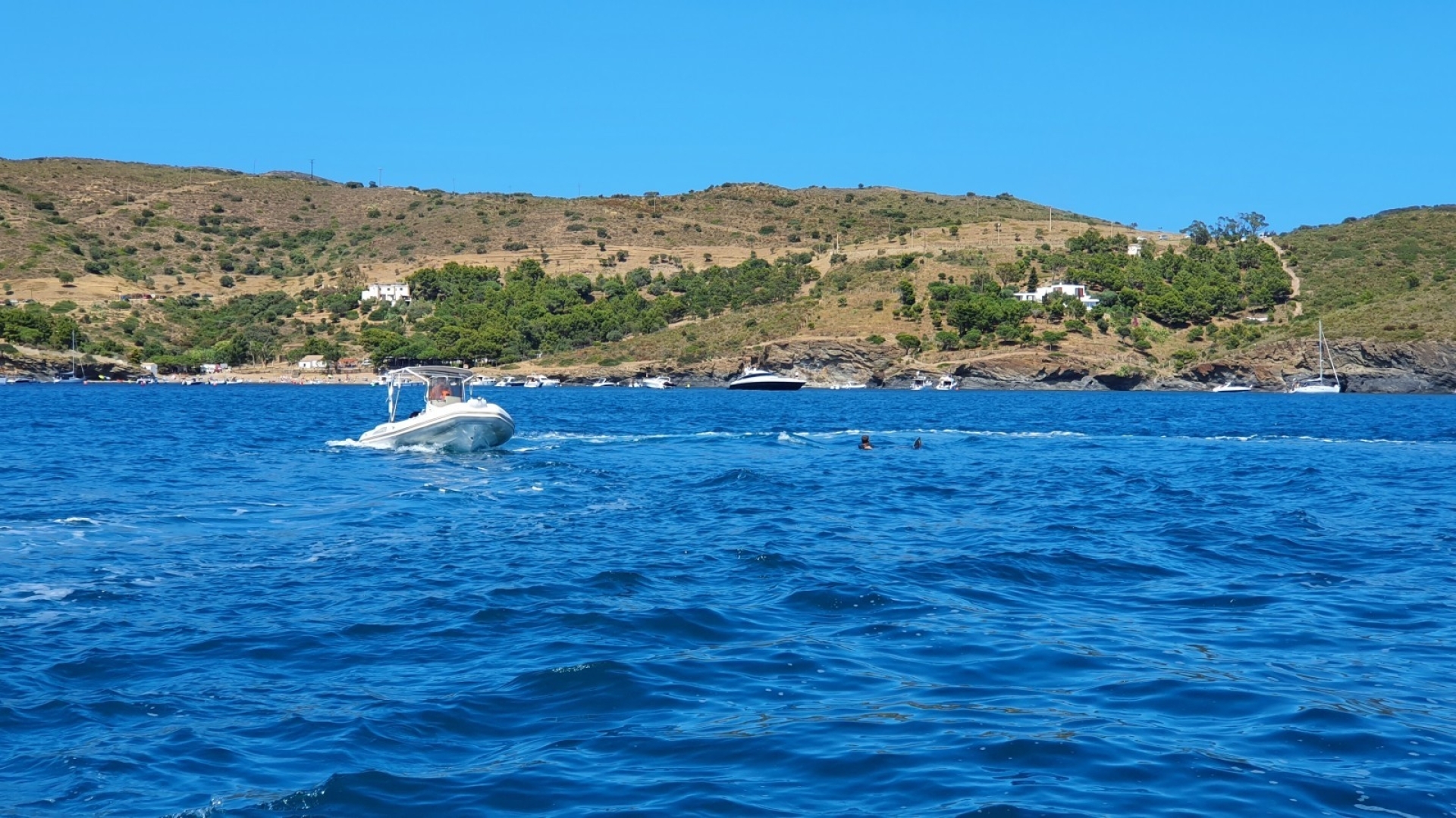 Picture 8 of announcement 3613