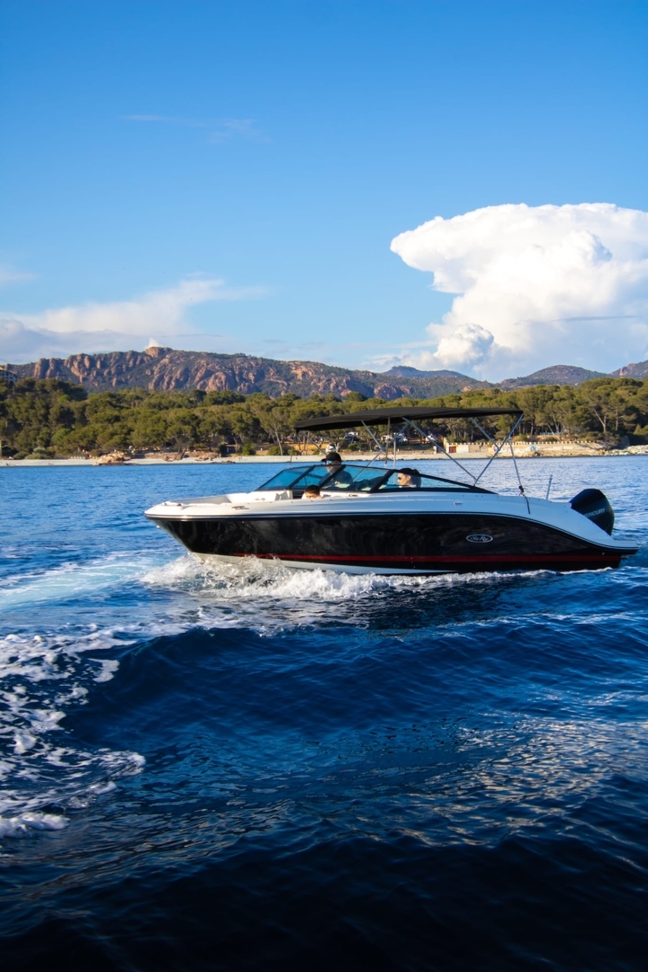 main picture announcement