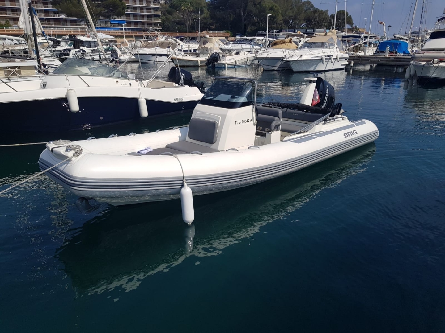 Picture 2 of announcement 3733