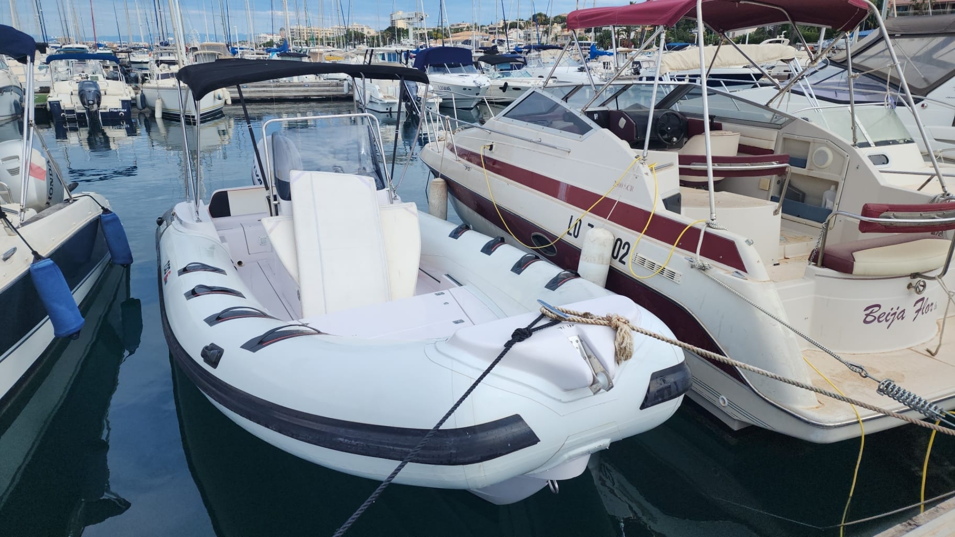 Picture 9 of announcement 3769