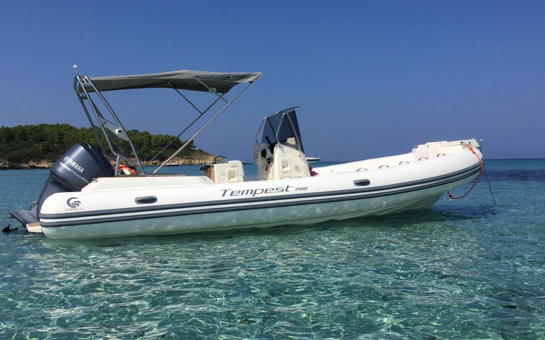 Picture 7 of announcement 4731