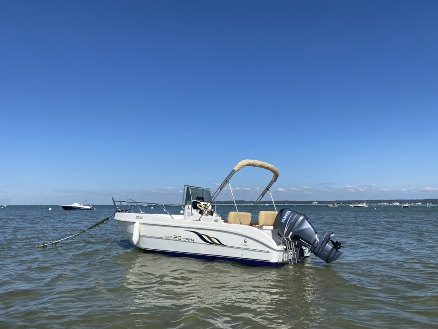 Picture 2 of announcement 6699