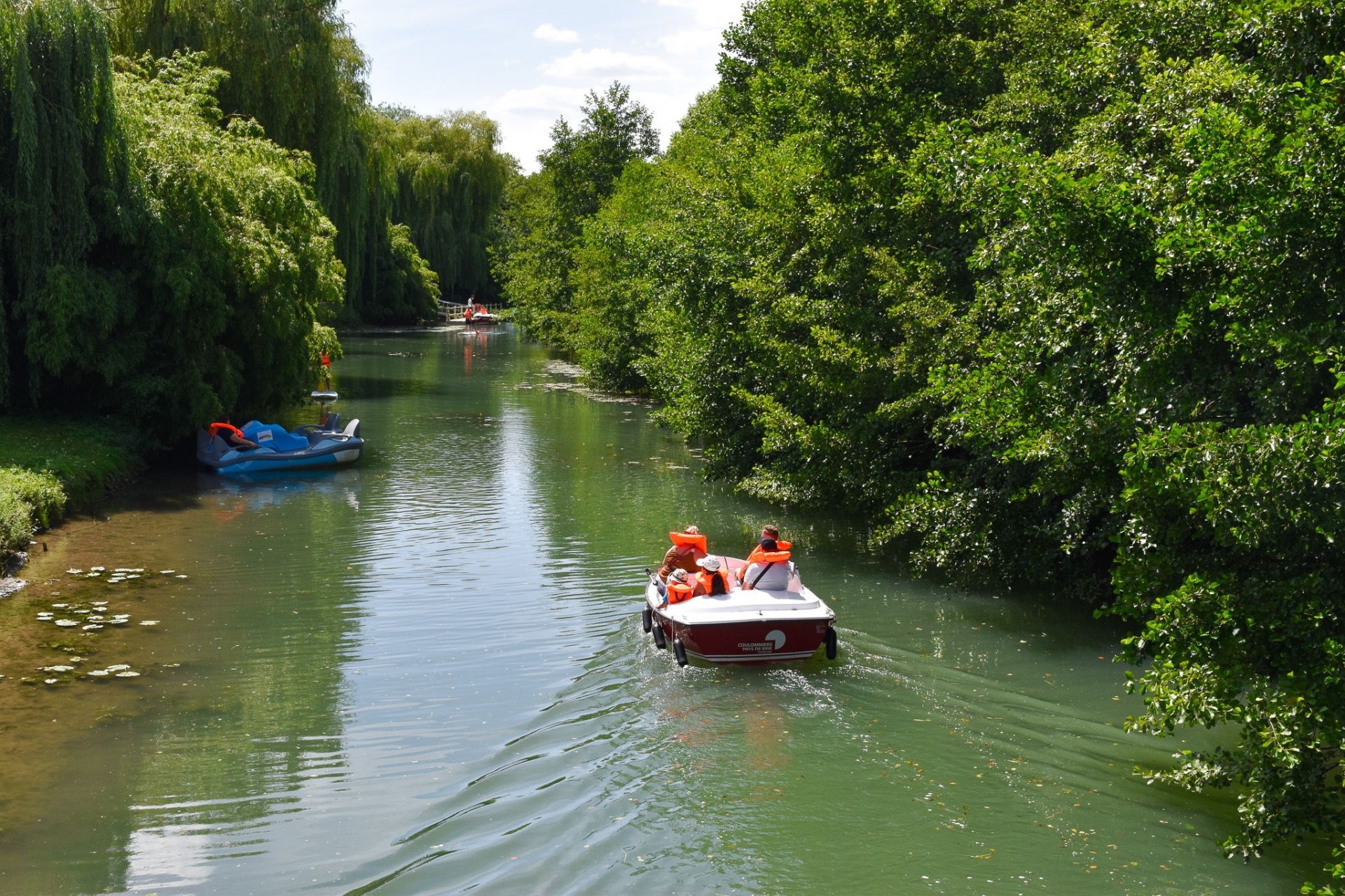 main picture announcement