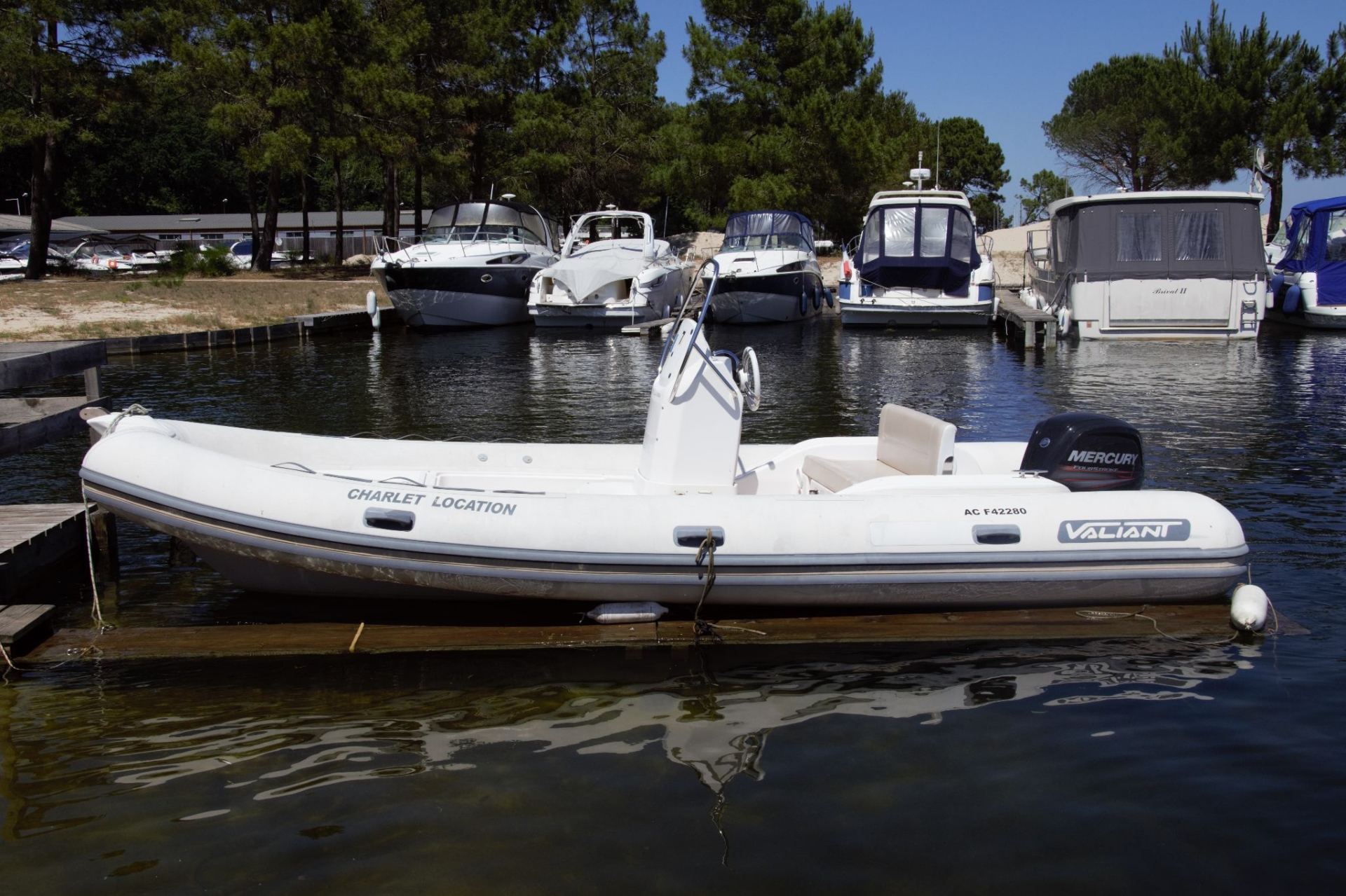 main picture announcement