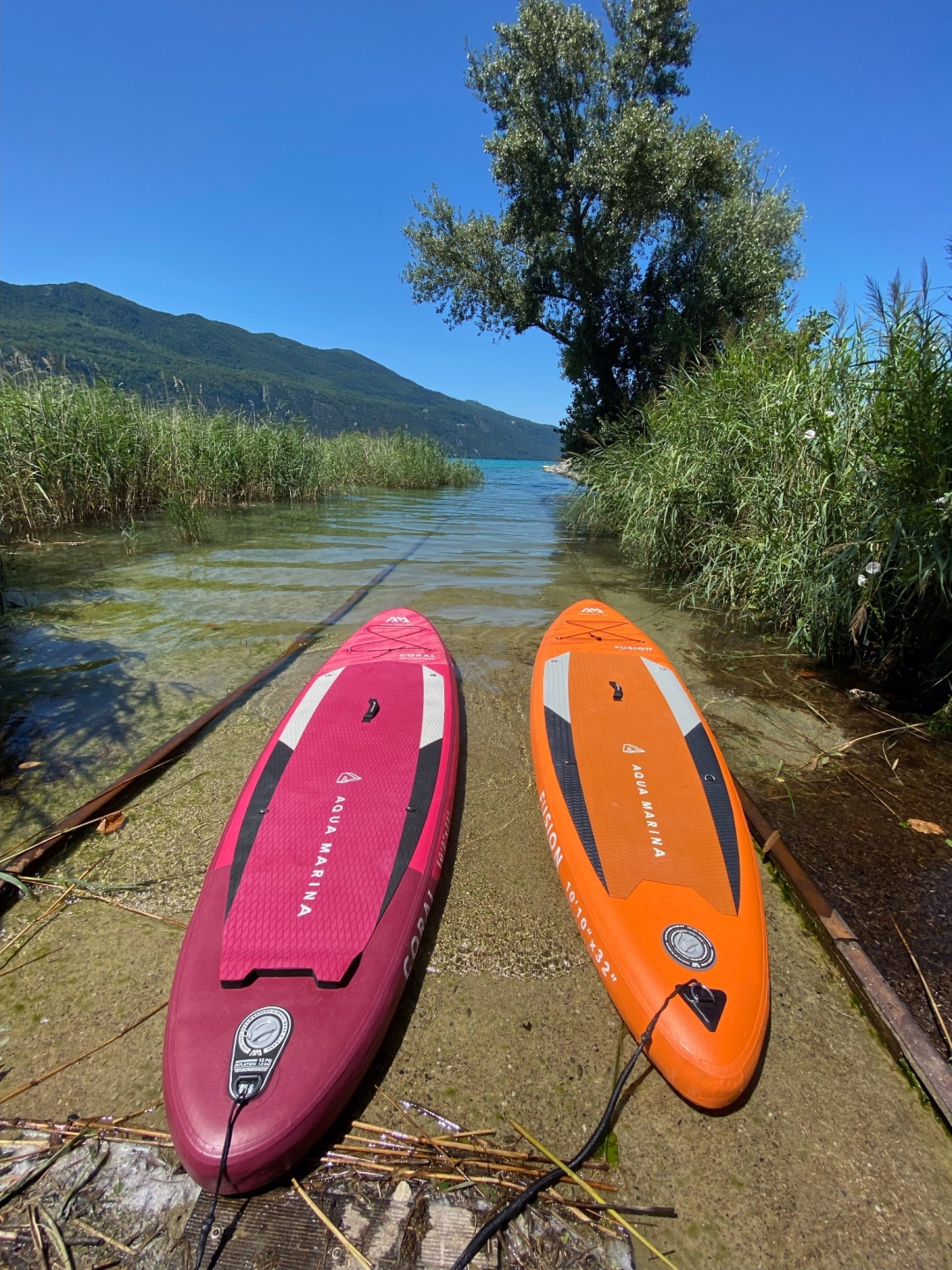 main picture announcement