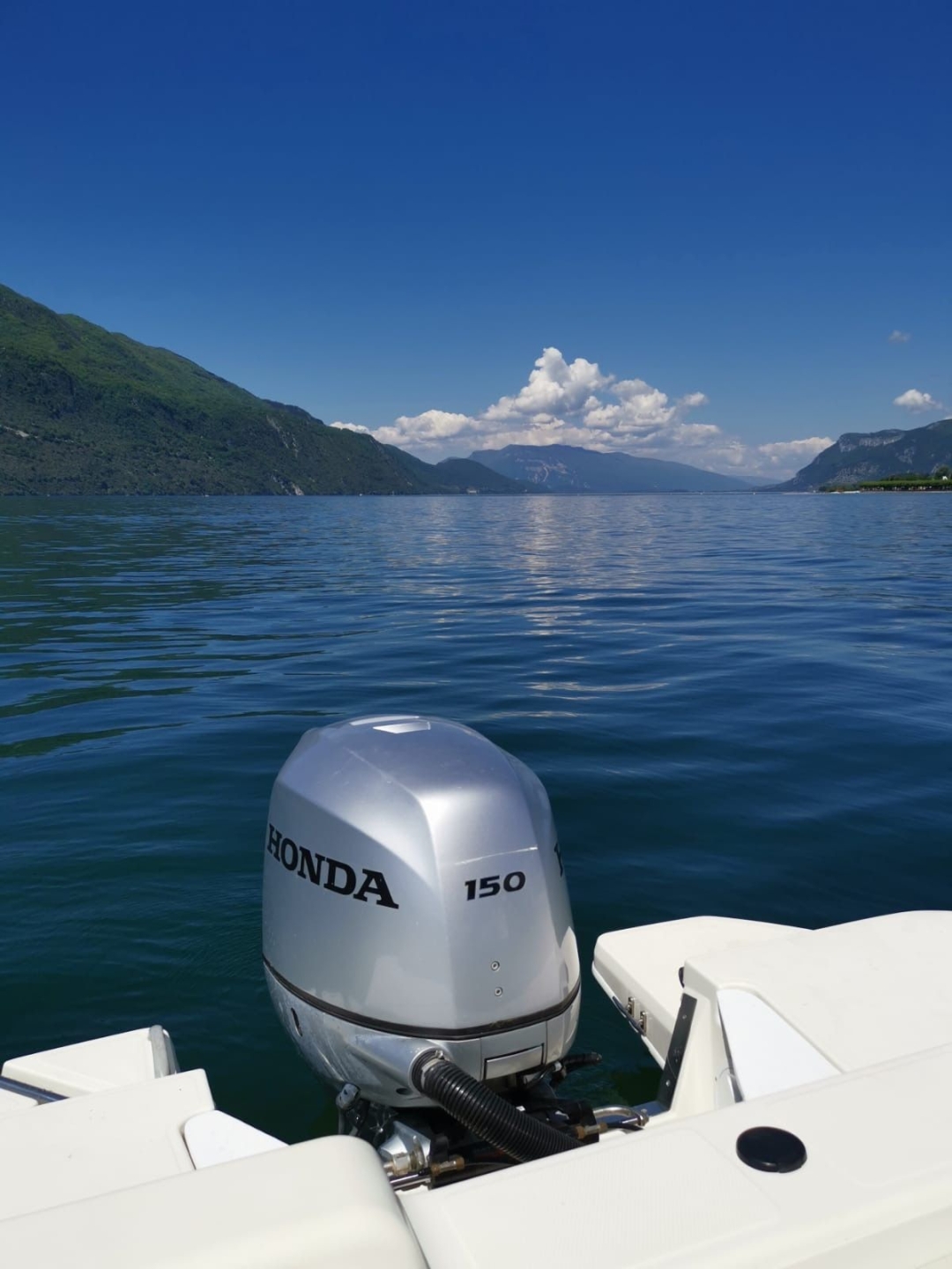 Picture 7 of announcement 8924