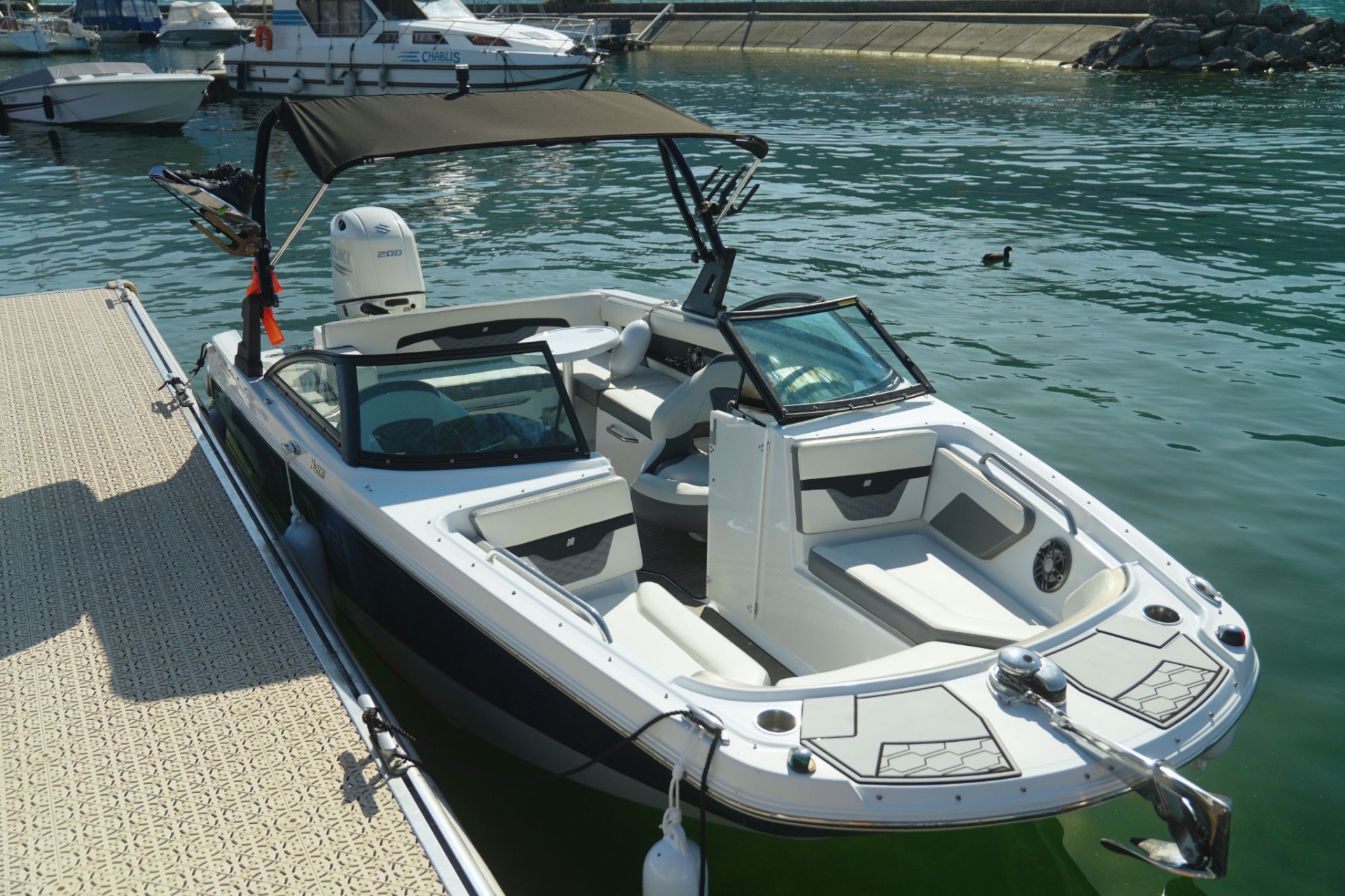 main picture announcement