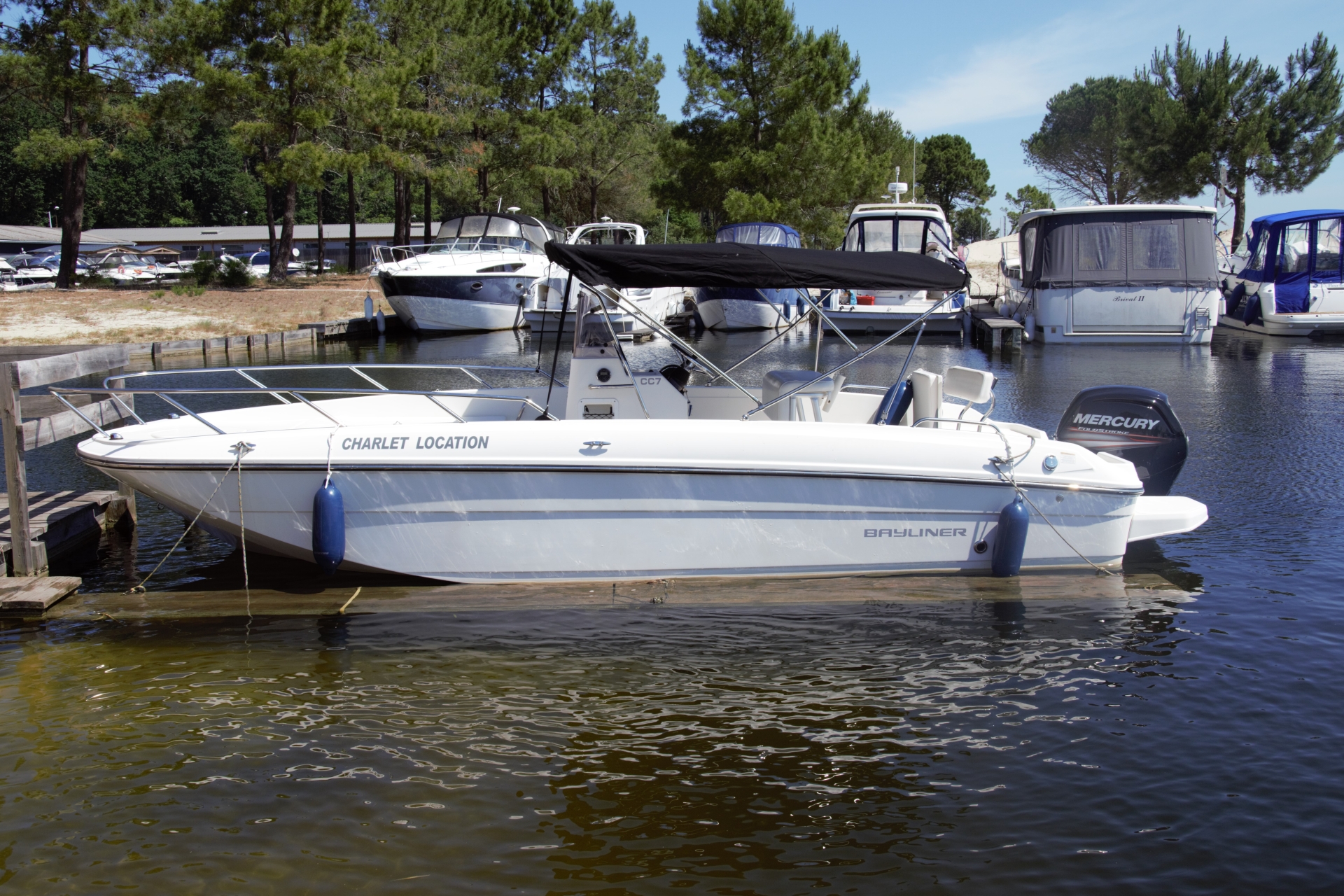 Picture 3 of announcement 9792