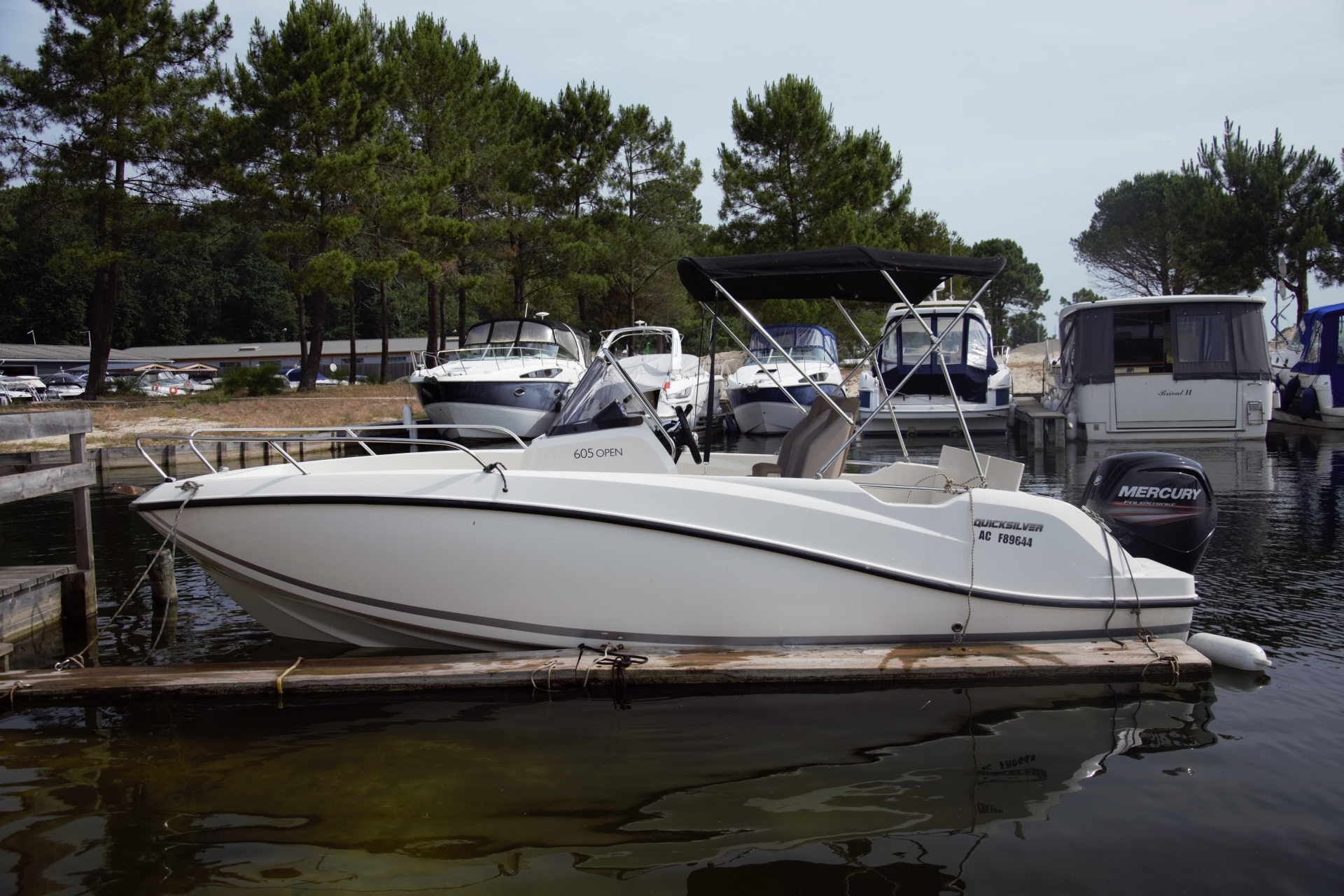 main picture announcement