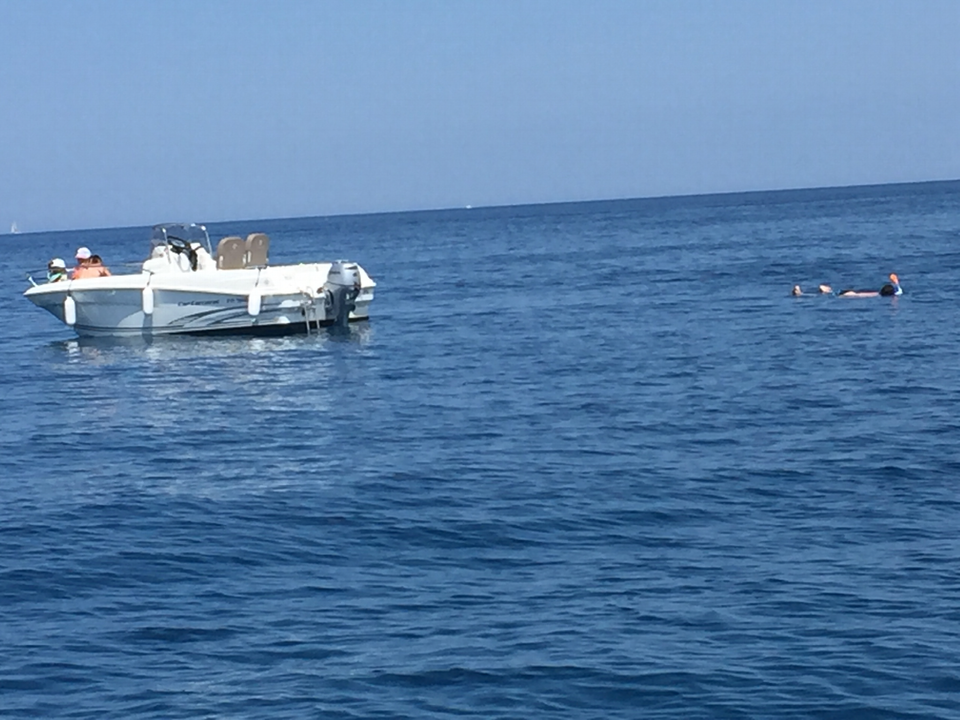 Picture 2 of announcement 11606