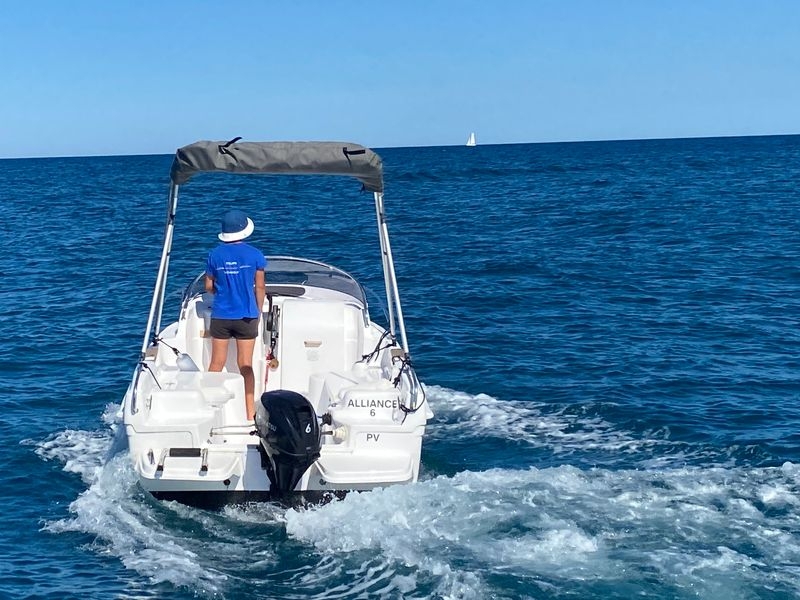 Picture 2 of announcement 11620