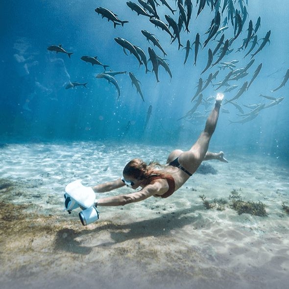 Picture 6 of announcement 11845