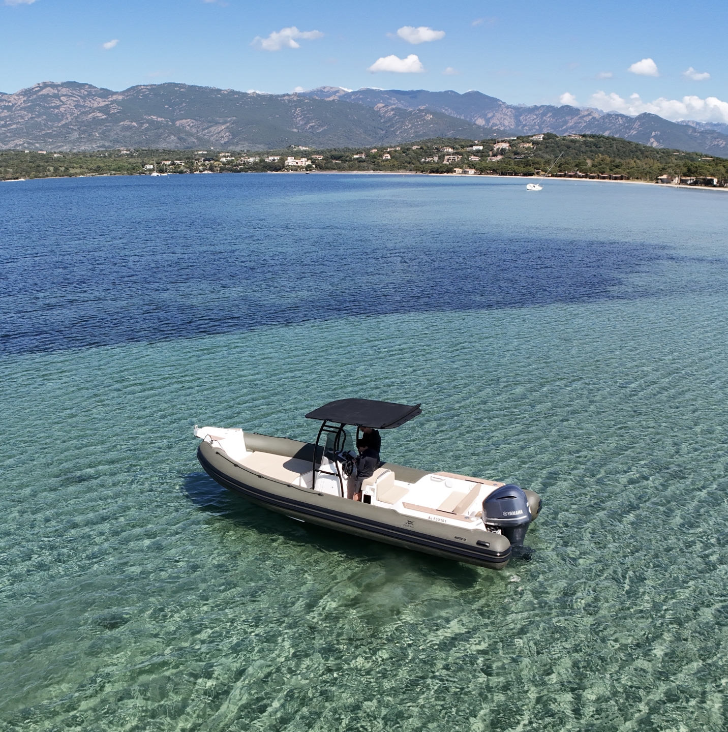 main picture announcement