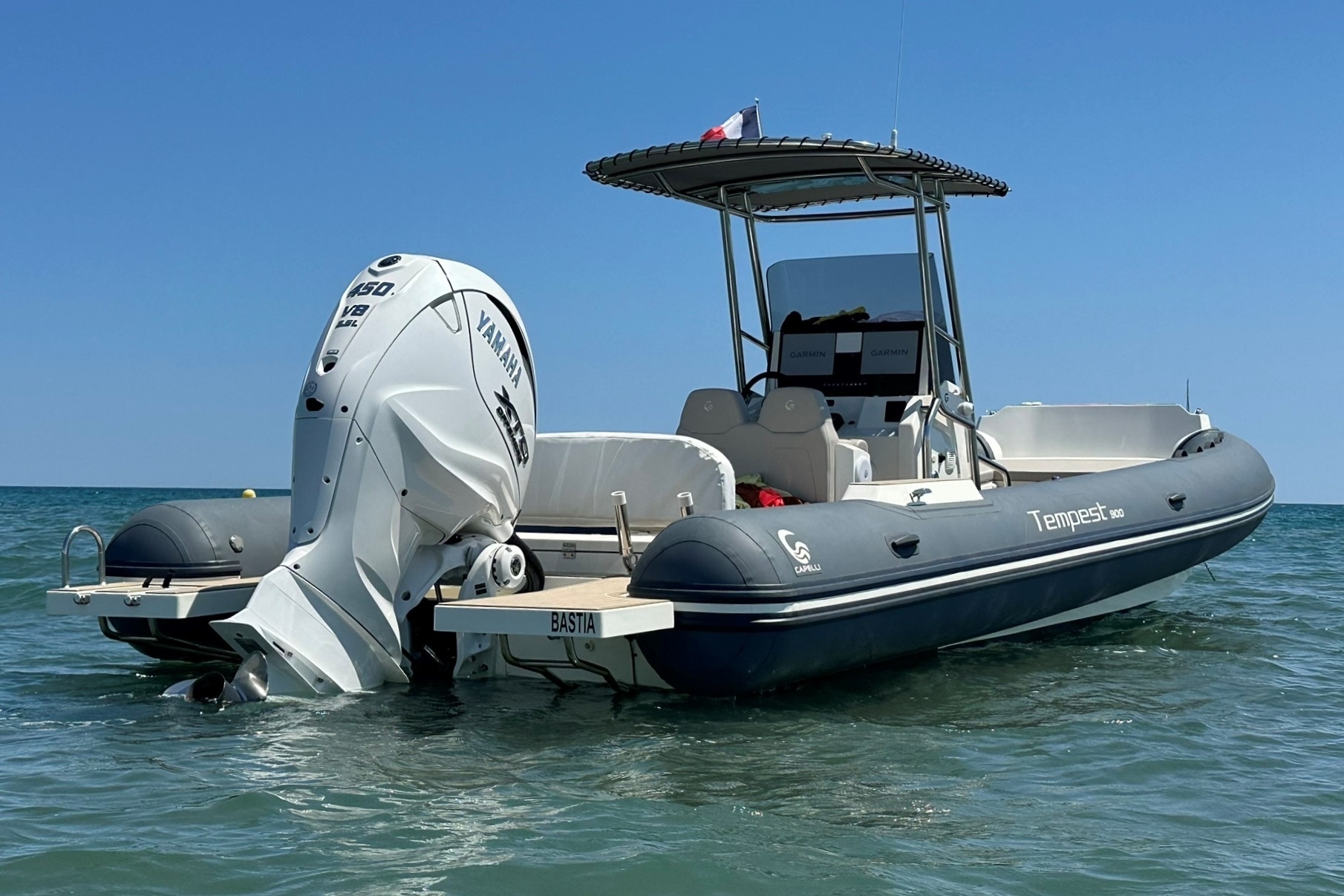 Picture 7 of announcement 16724