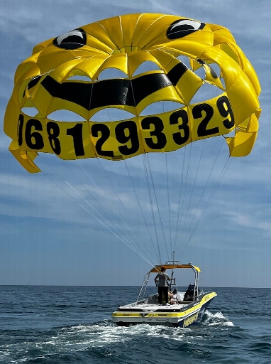 Picture 3 of announcement 13117