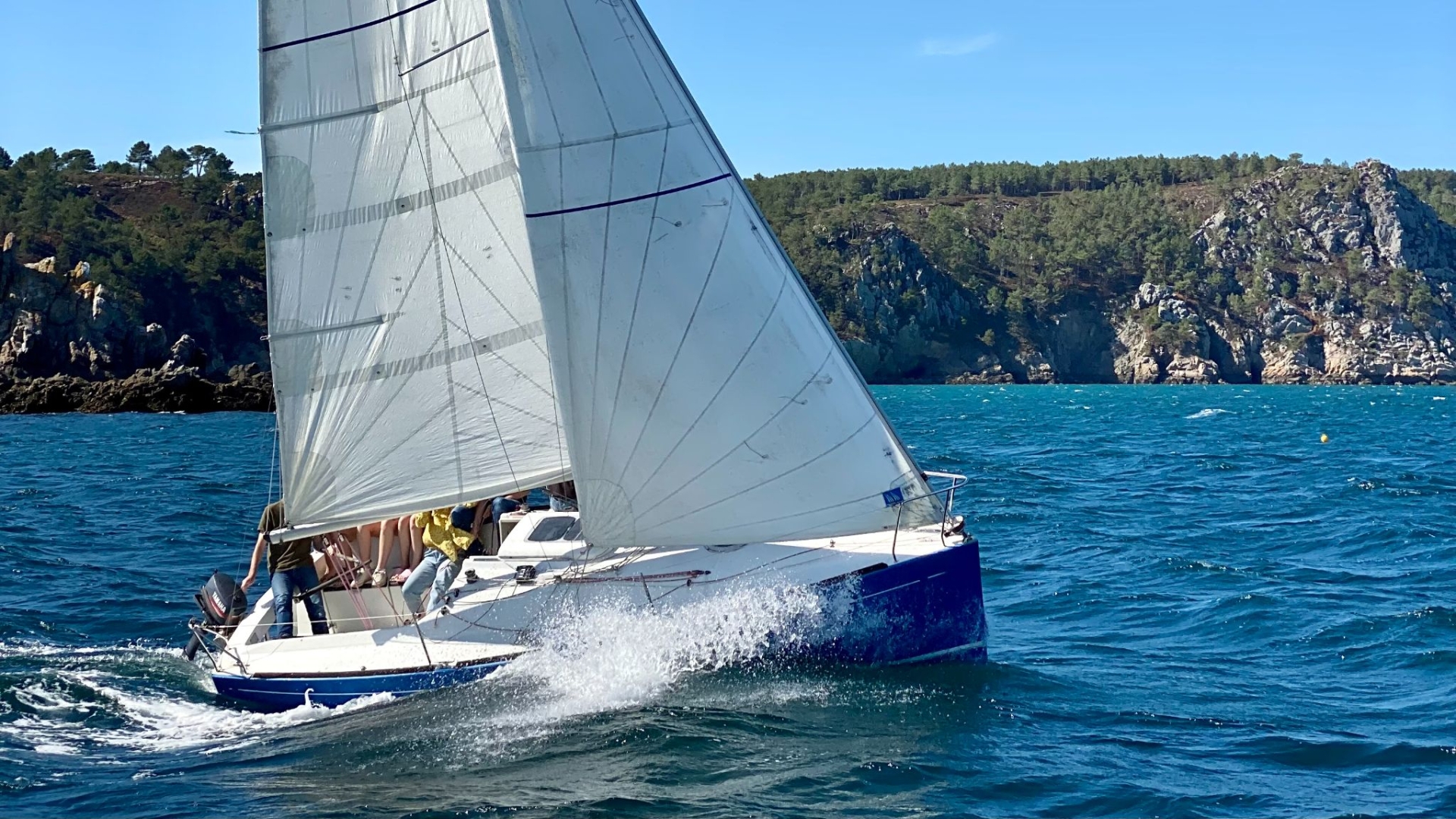 Picture 1 of announcement 13250