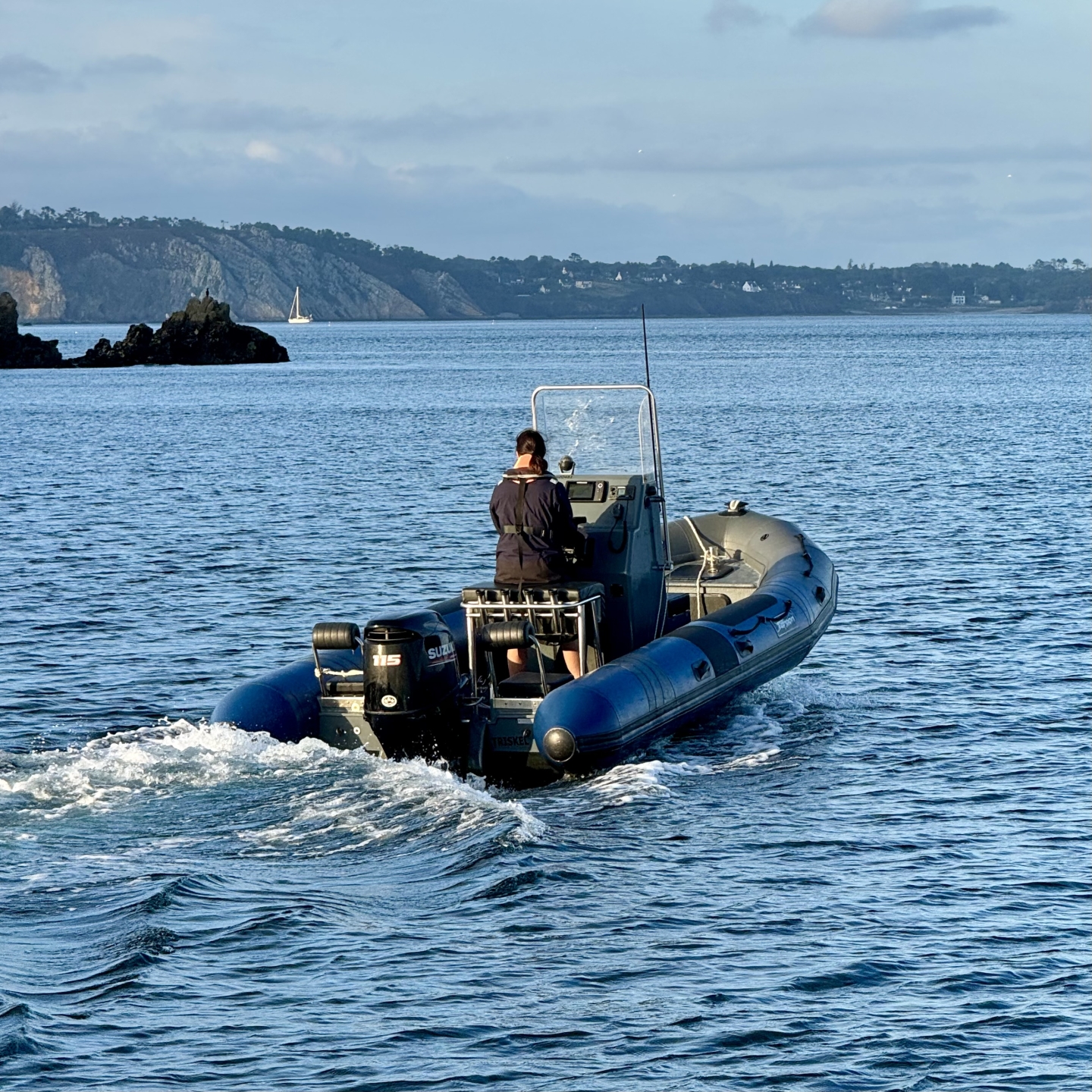 Picture 4 of announcement 13355