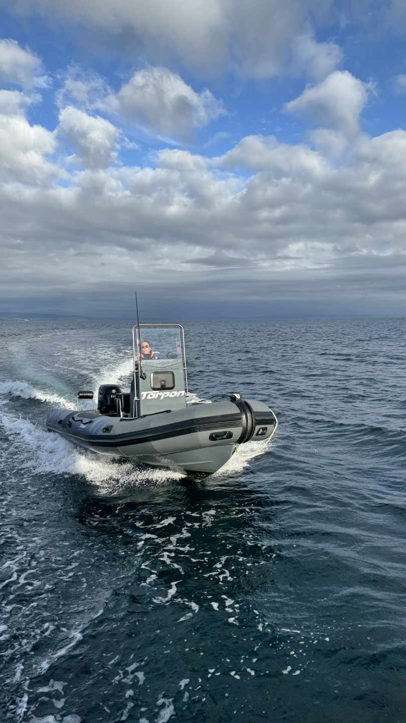 Picture 5 of announcement 13356