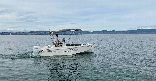 main picture announcement