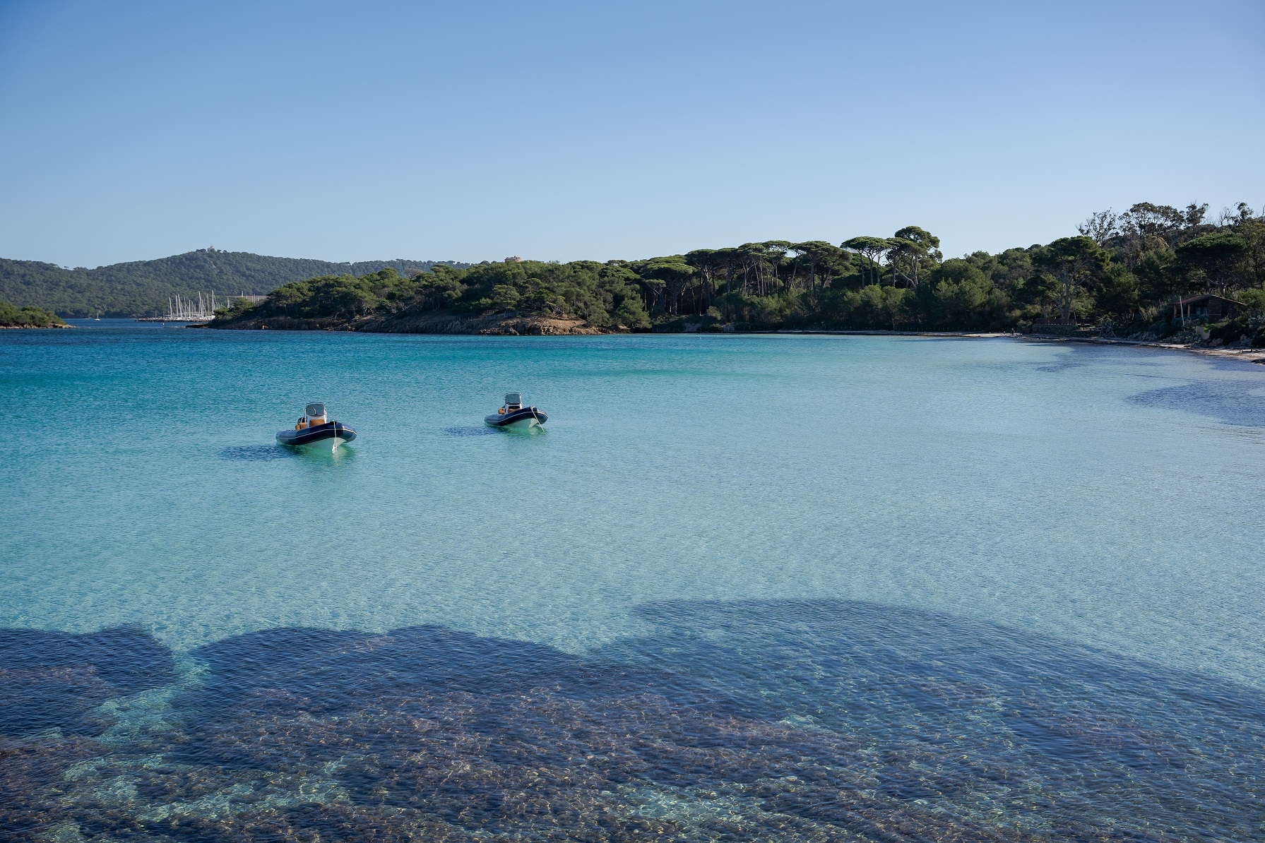 Picture 10 of announcement 13927