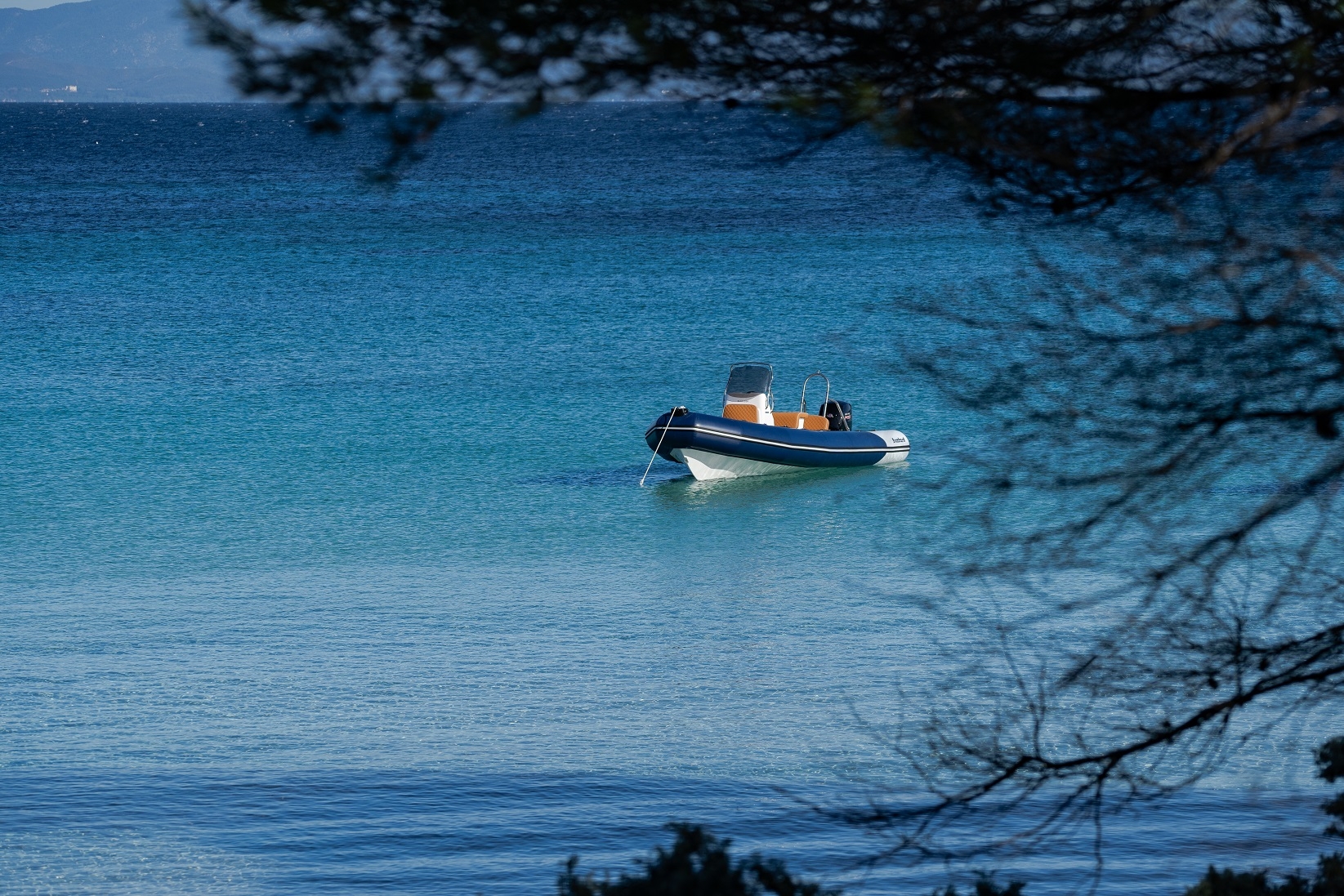 Picture 12 of announcement 13929