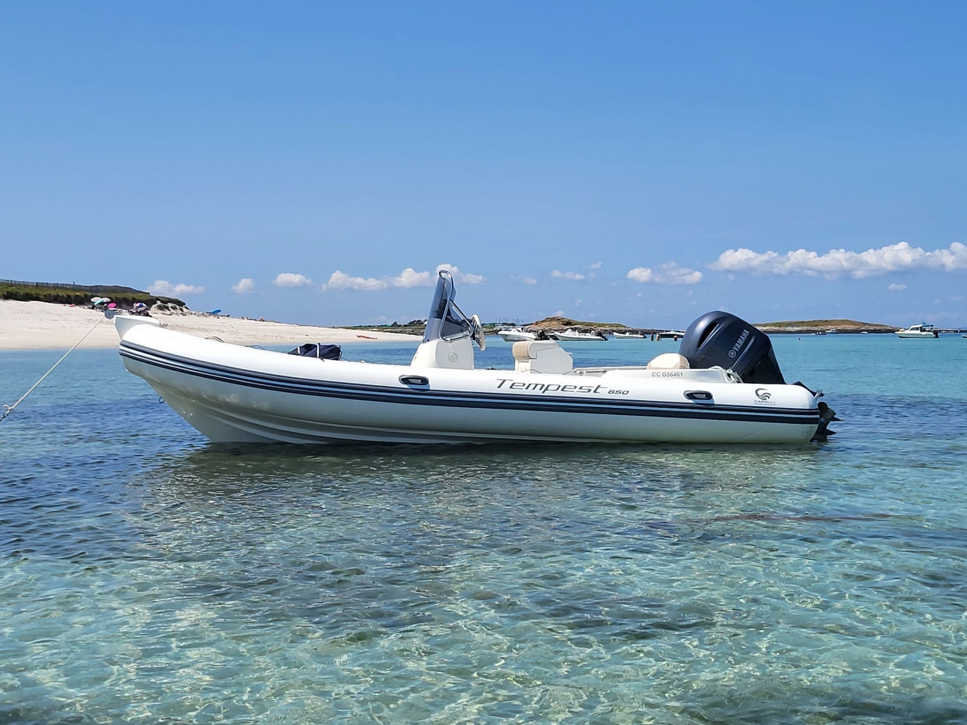 main picture announcement