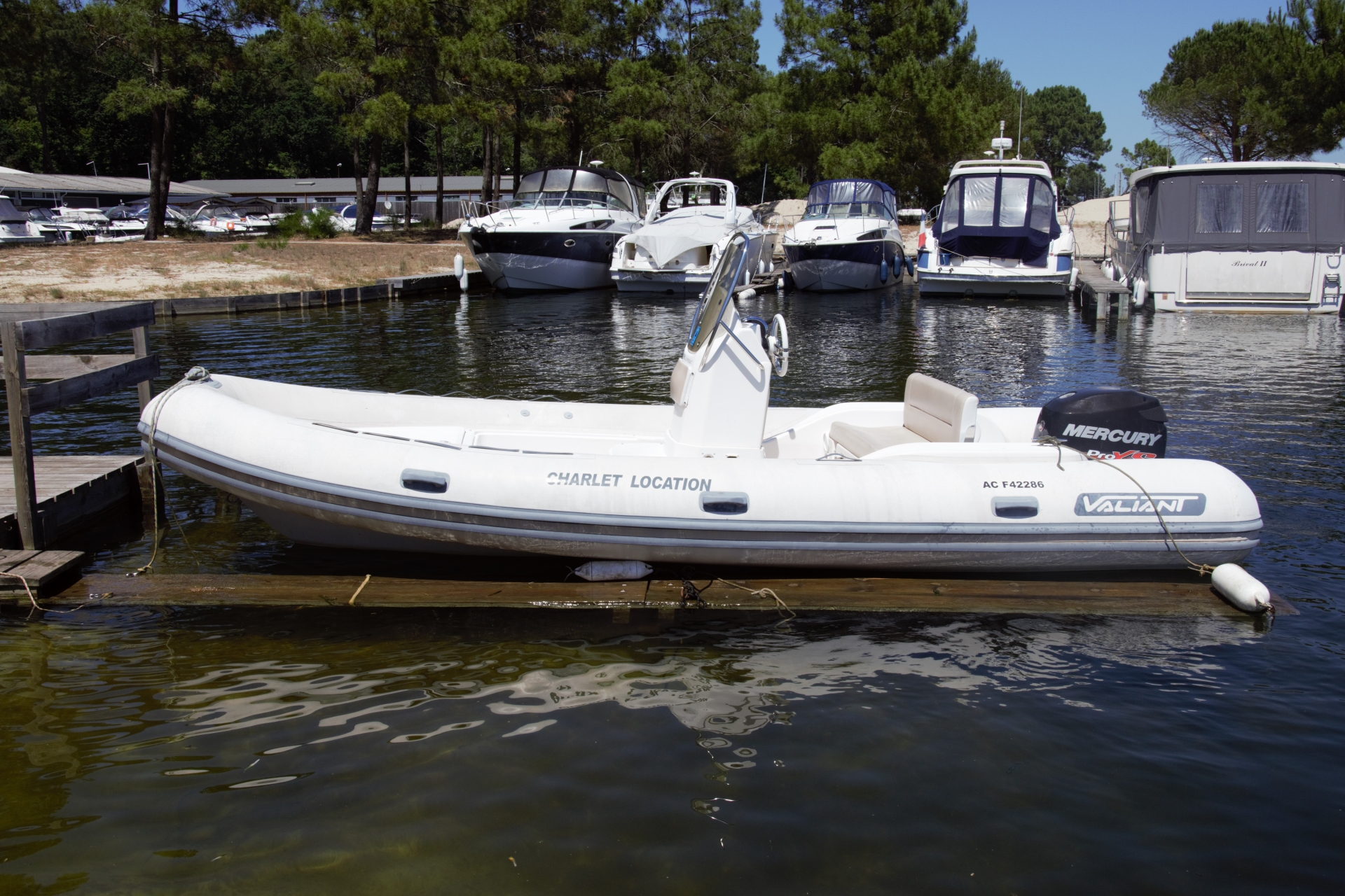 main picture announcement