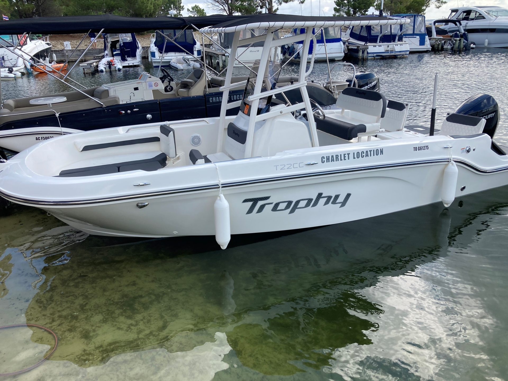 main picture announcement