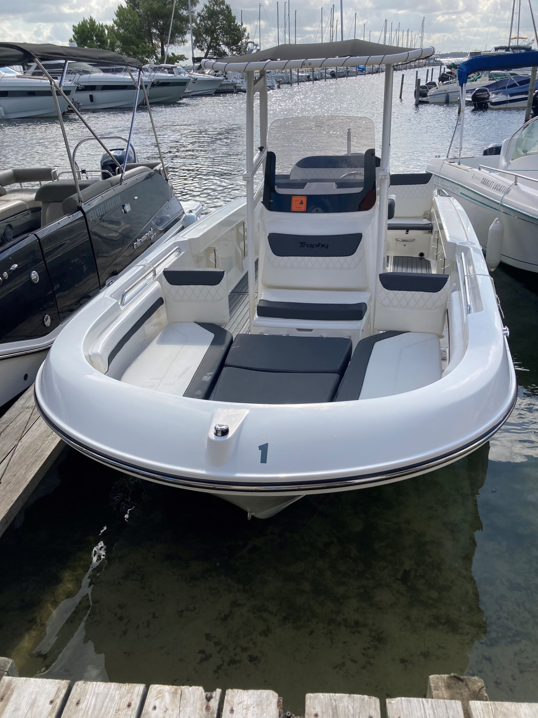 Picture 3 of announcement 14445