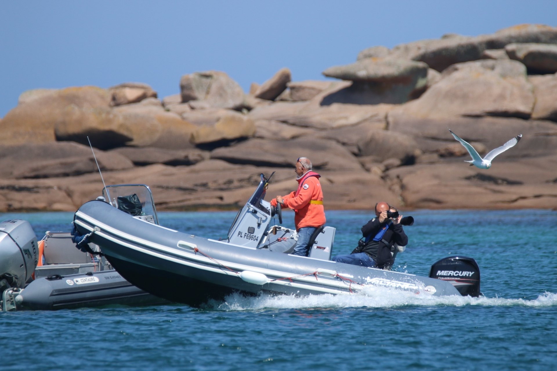 main picture announcement