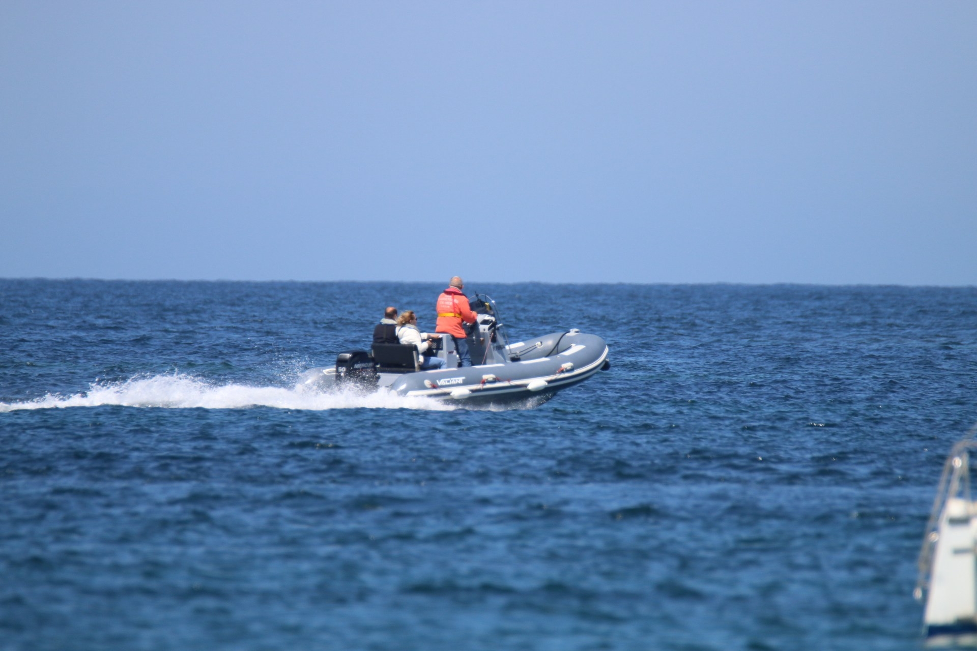 Picture 9 of announcement 14530