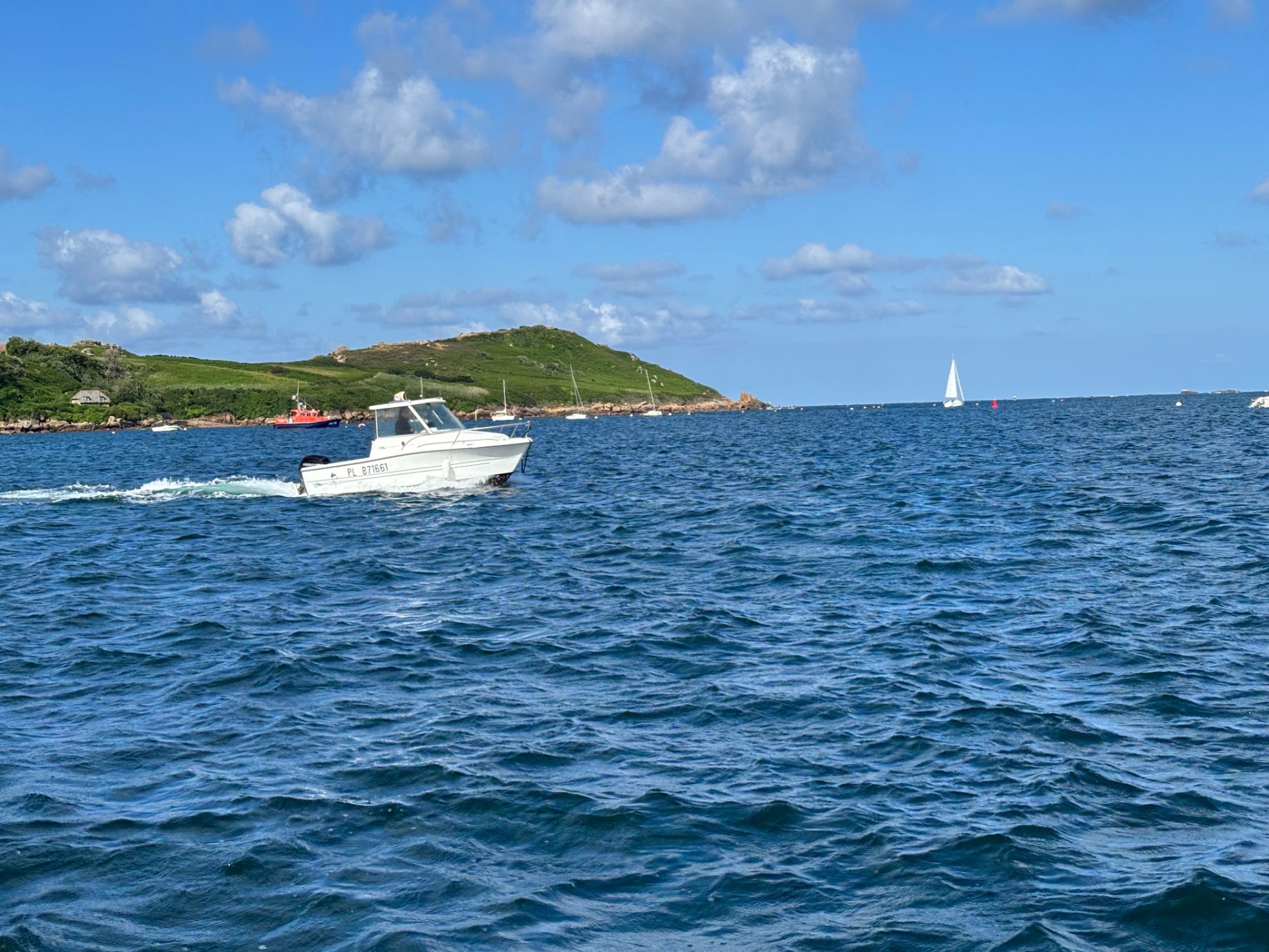 Picture 4 of announcement 14540