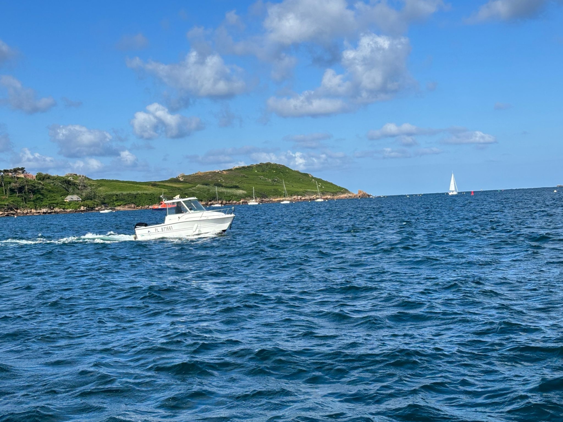 Picture 5 of announcement 14542