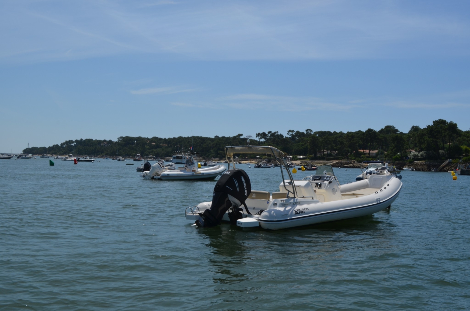 Picture 9 of announcement 15475