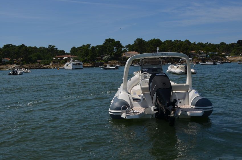 main picture announcement