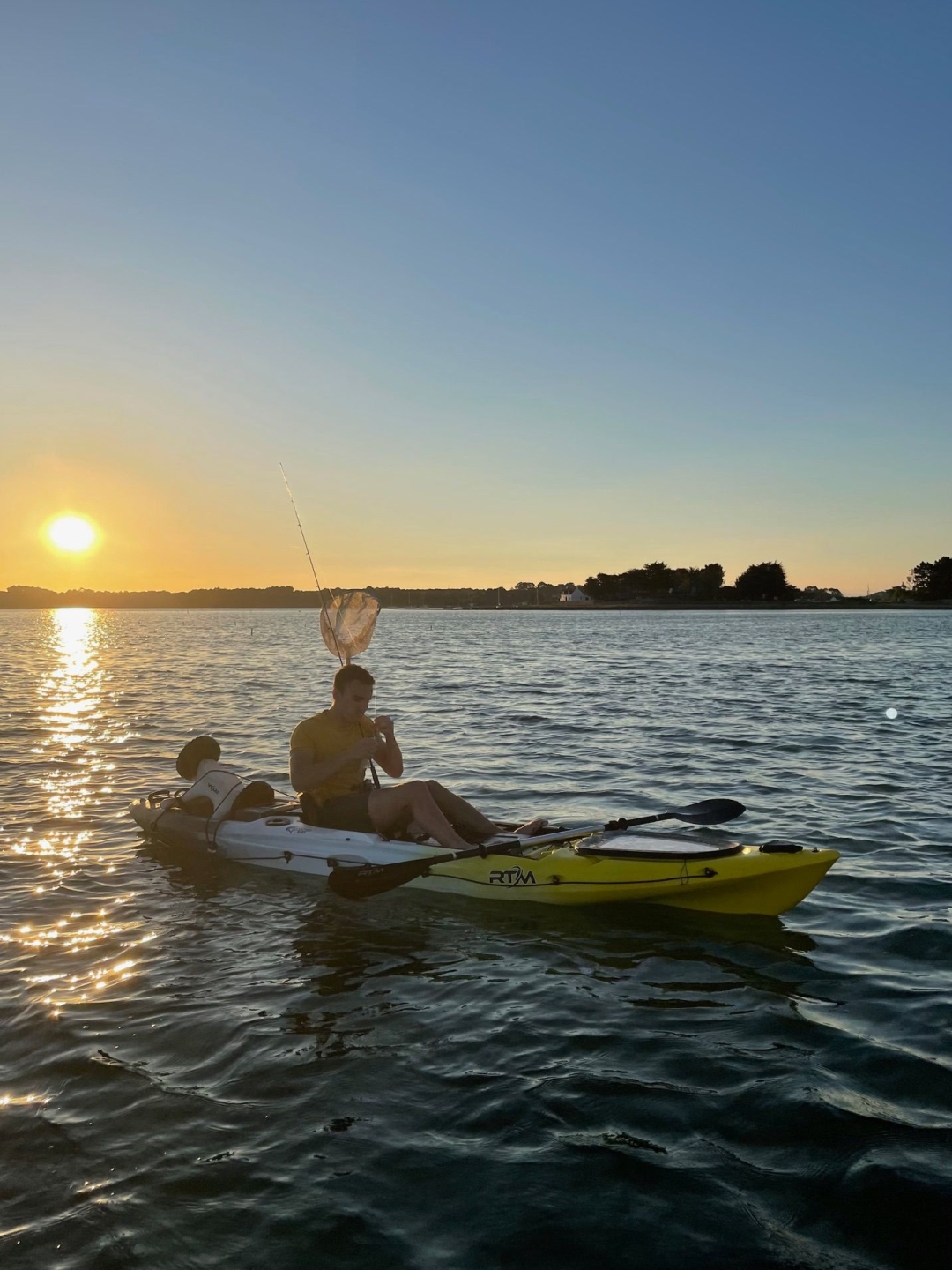 Picture 2 of announcement 16026