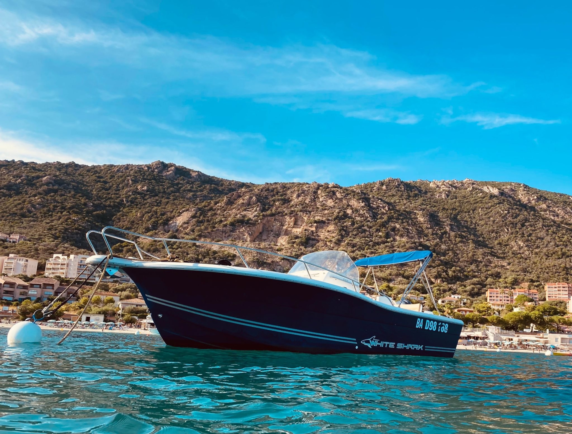 main picture announcement