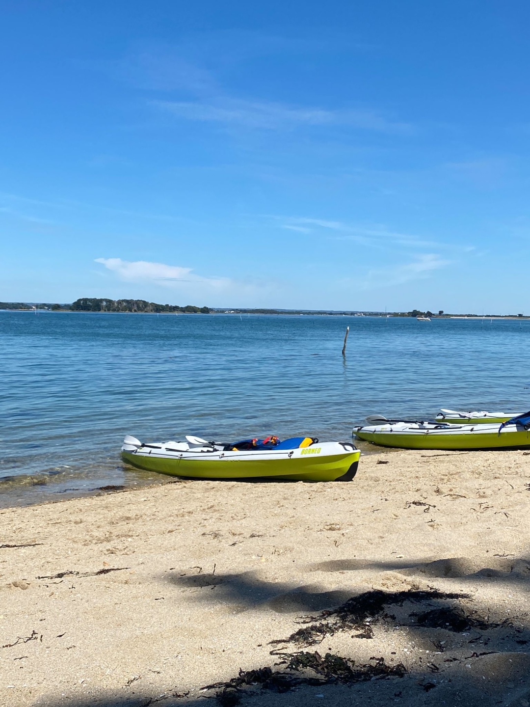 Picture 6 of announcement 16407