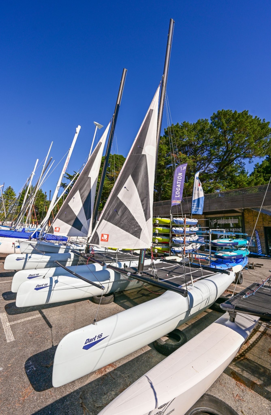 Picture 3 of announcement 16419