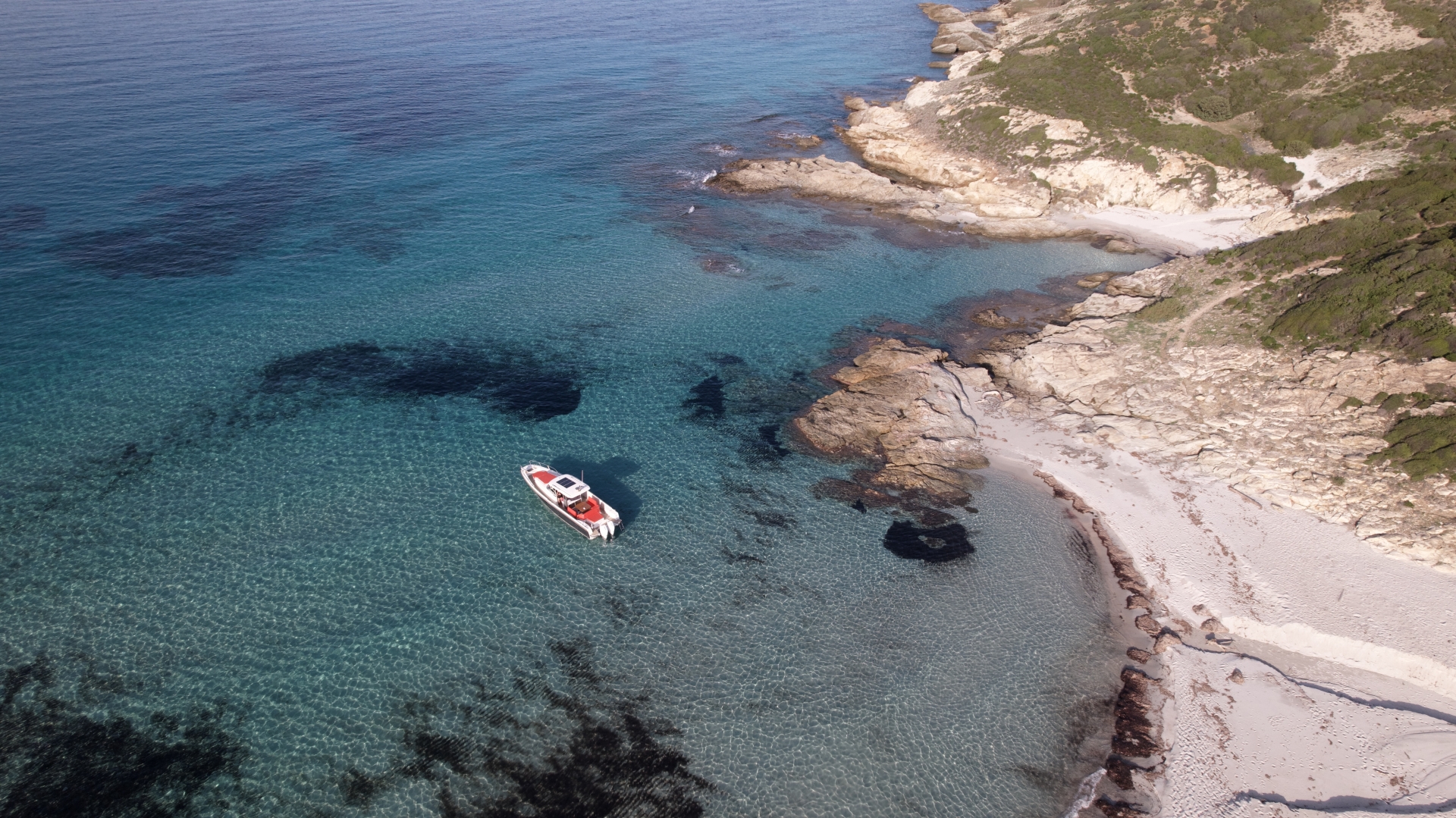 Picture 15 of announcement 18305