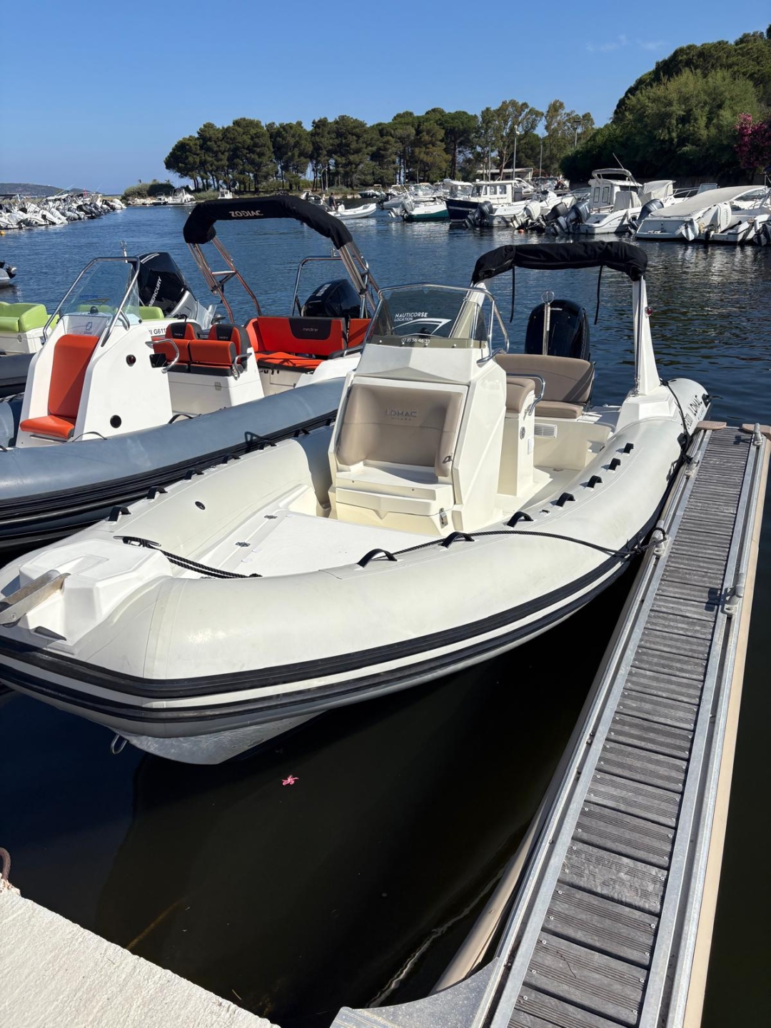 main picture announcement