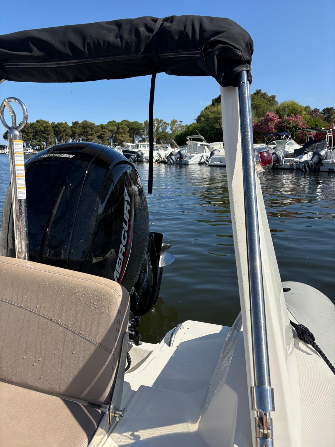 Picture 4 of announcement 18550